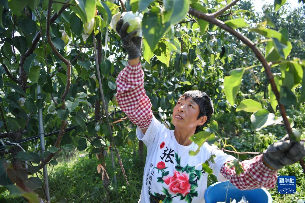 捕鱼游戏下载电脑版